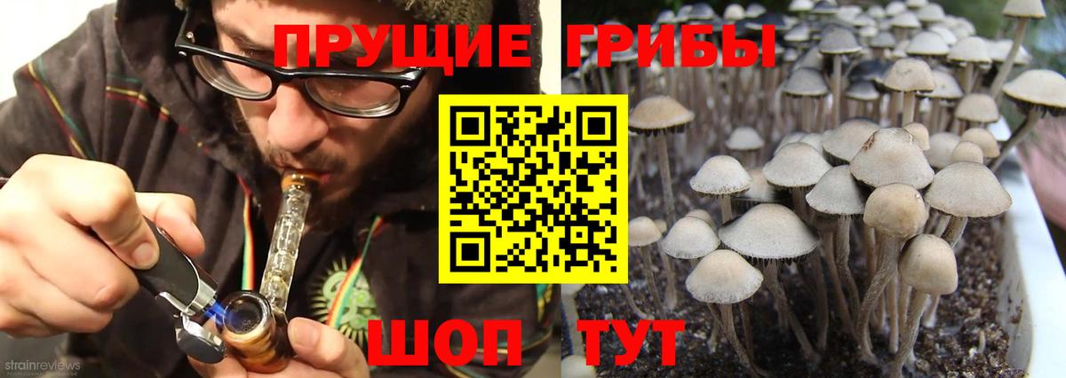Псилоцибиновые грибы Psilocybe Ростов-на-Дону
